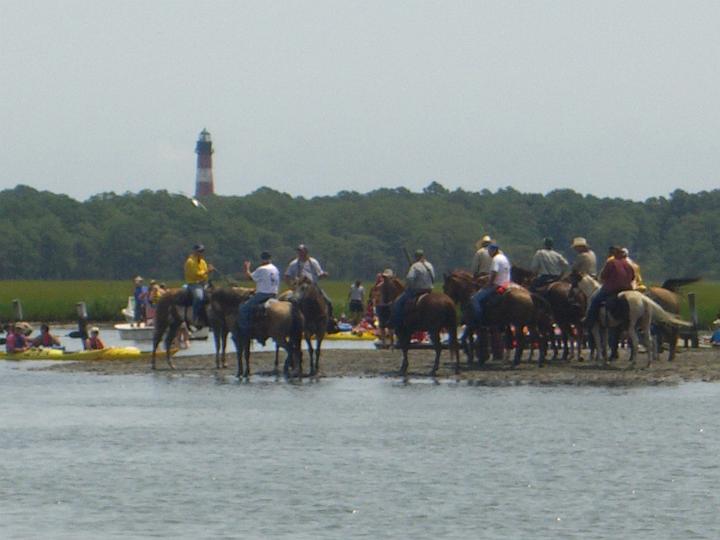 Chincoteague Pony Swim July 2007 073.JPG